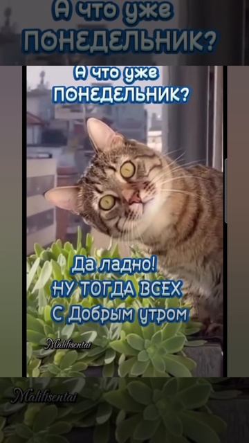 Доброе утро #доброеутро #благодарность