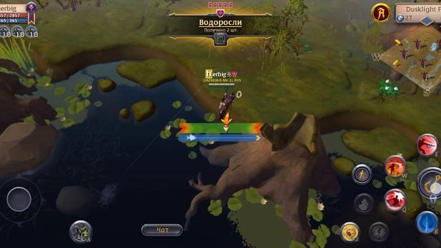 Привет 😀 ловлю #голубая #щука в #Альбион 18-08-2025