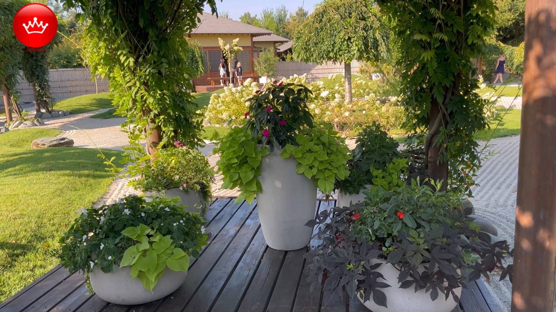 🐿️В Парке Галицкого Японский сад Август 2025.