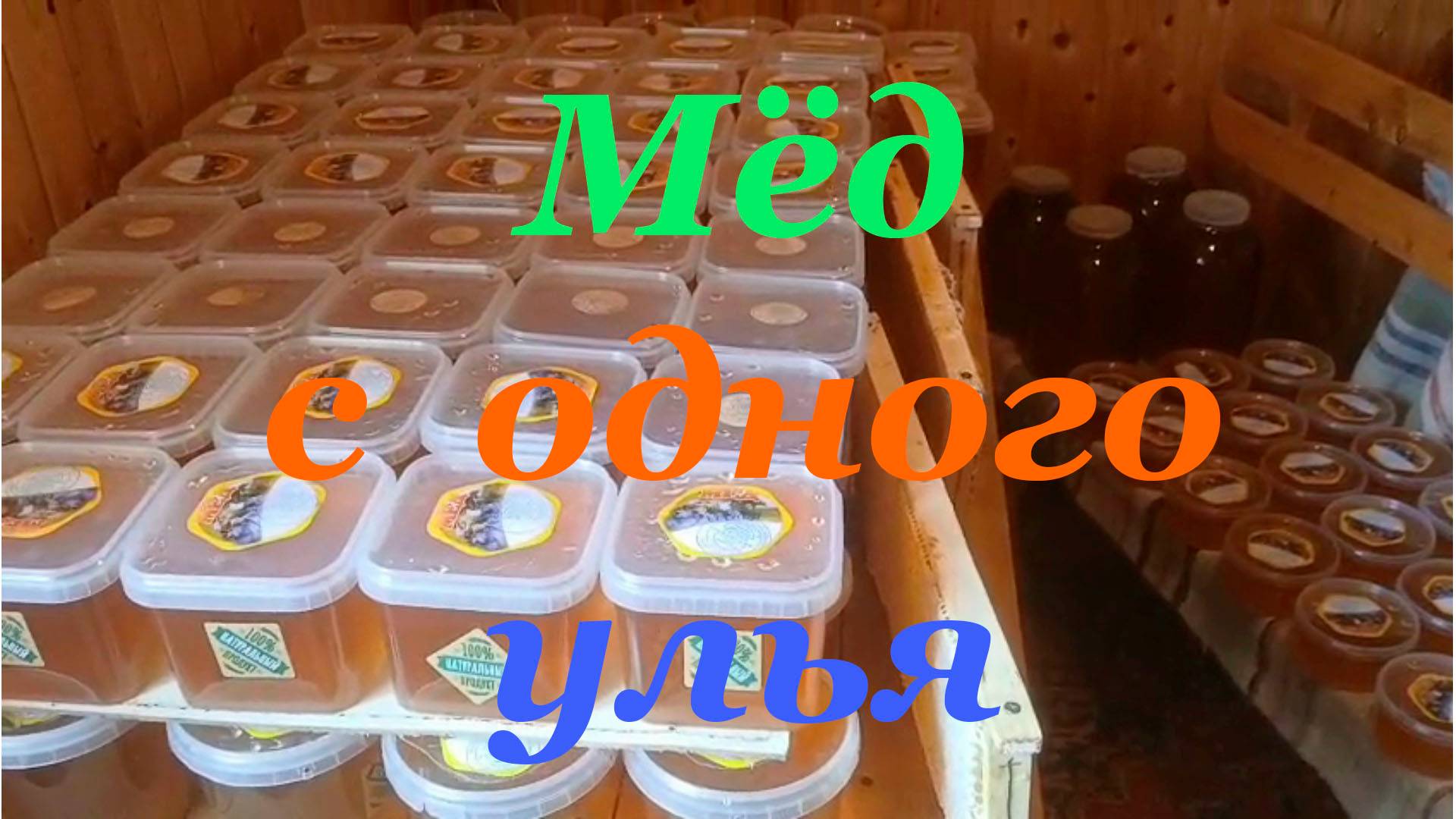 Сколько мёда даёт на северо-западе один улей