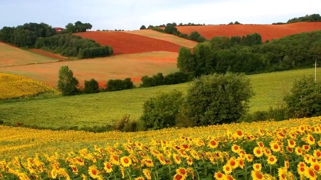 УСПОКАИВАЮЩАЯ МУЗЫКА ДЛЯ СНА, ОЧЕНЬ КРАСИВАЯ РАССЛАБЛЯЮЩАЯ МУЗЫКА