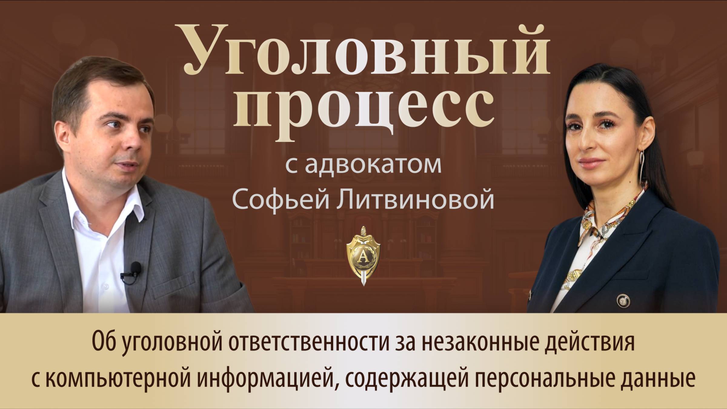 Выпуск 248.Об уголовной ответственности за незаконные действия с компьютерной информацией.