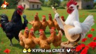 Веселые куры порадуют детей и взрослых 🐣🐤🐓 серия (2)