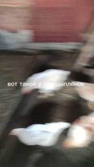 ну вот так-то так