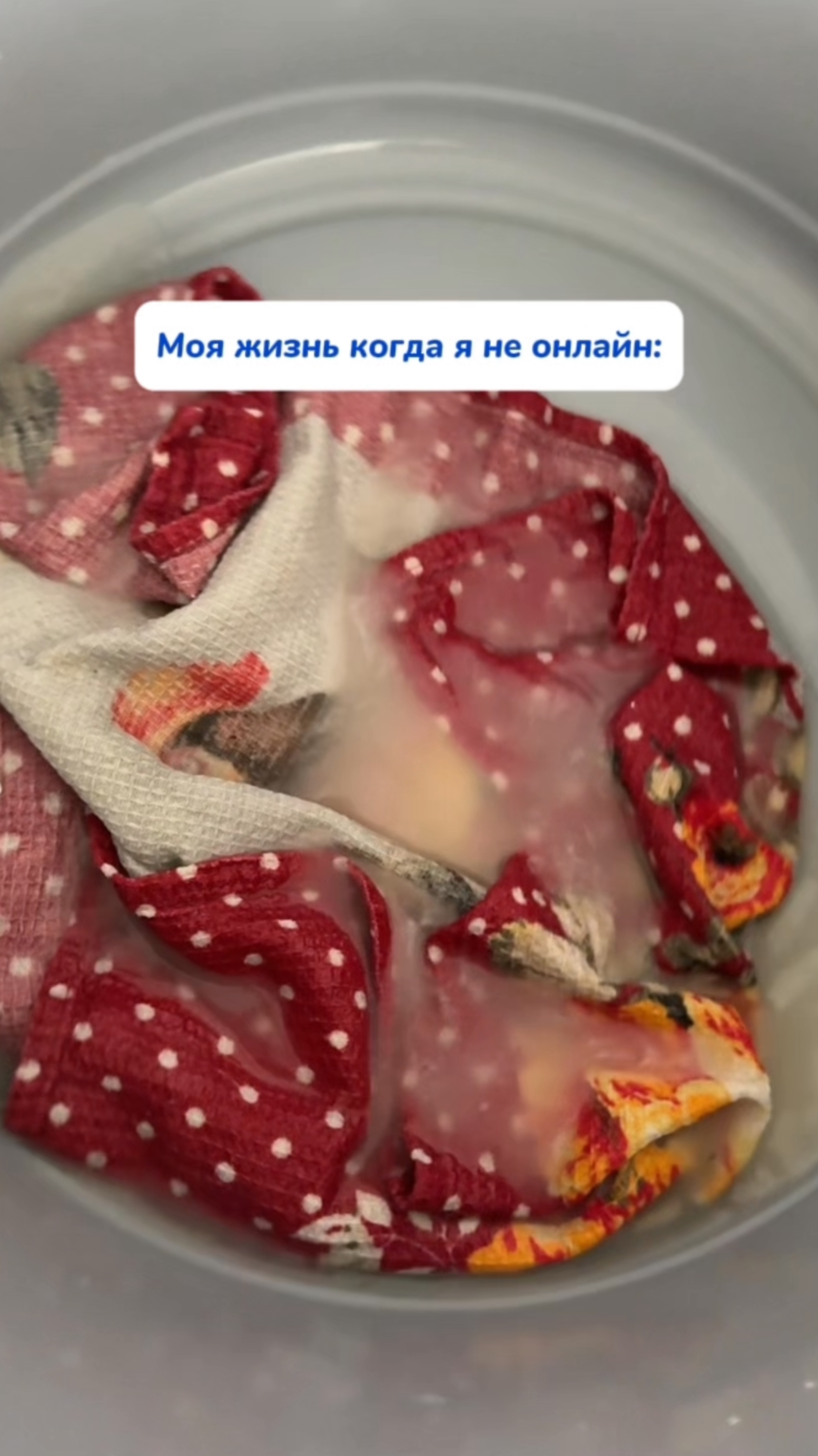 ScreenRecording_08-18-2025 14-46-41_1