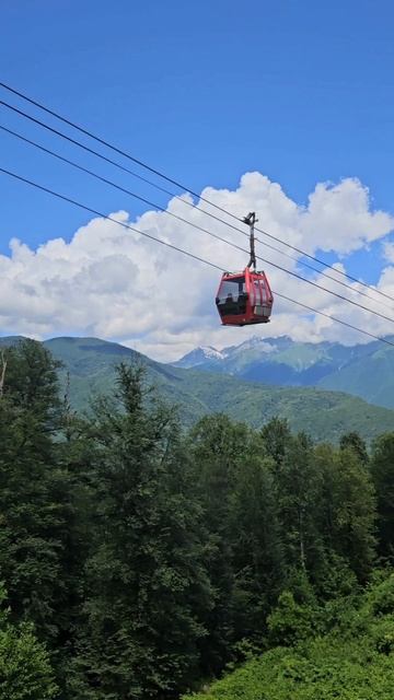 Красная поляна😉