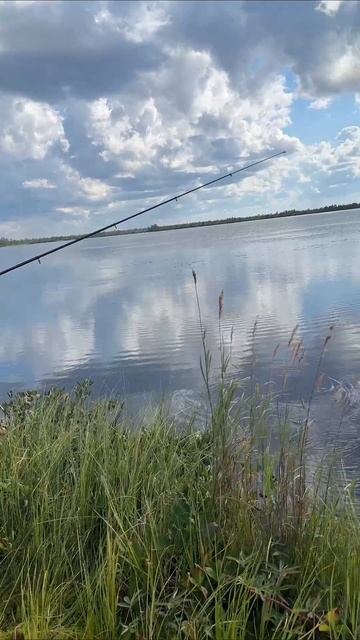 Рыбалка в гостях у хантов. 

#рыбалка #хантыйскиеугодья #рыбалкавюгре #рыбалкахмао #рыбалкасургут #р