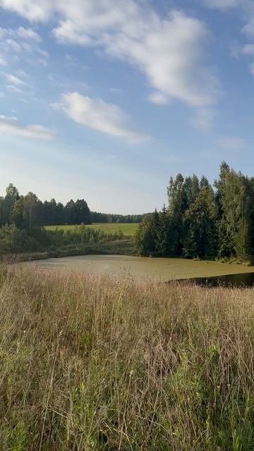 Утреннее чаепитие в живописном месте