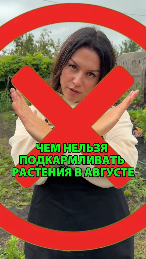 Чем нельзя подкармливать растения в августе