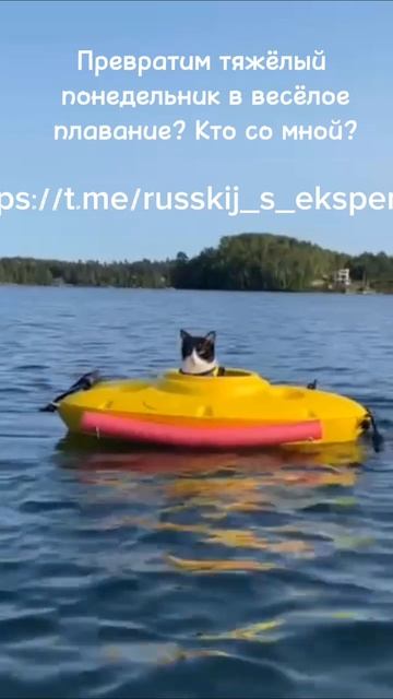 Кто со мной? Забери подарки для подготовки к ОГЭ/ЕГЭ https://t.me/russkij_s_ekspertom/839