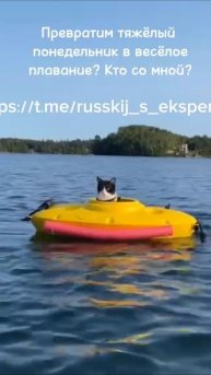 Кто со мной? Забери подарки для подготовки к ОГЭ/ЕГЭ https://t.me/russkij_s_ekspertom/839