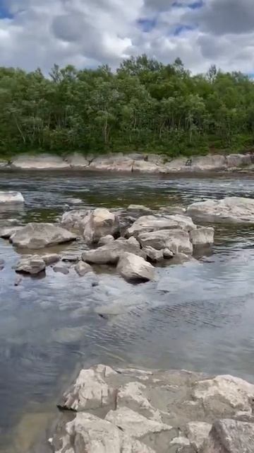 Река Ура, Мурманская обл. #рыбалка #форель #trout #troutfishing #fishing #север #лосось #fish #north