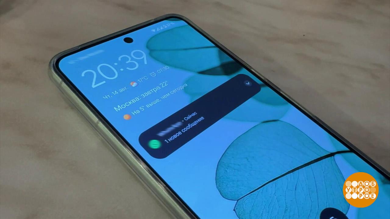 Ссылка от "учителя": это точно из школы? Доброе утро. Фрагмент выпуска от 18.08.2025