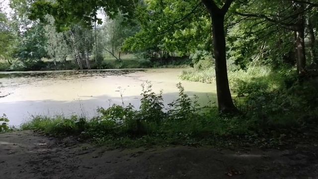 Шуваловский парк, графские  развалины. Санкт-Петербург. ( часть - 1)