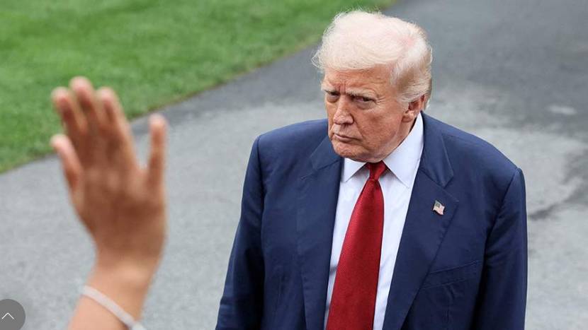 Политолог сравнил США с загнавшей себя в тупик акулой из-за действий Трампа