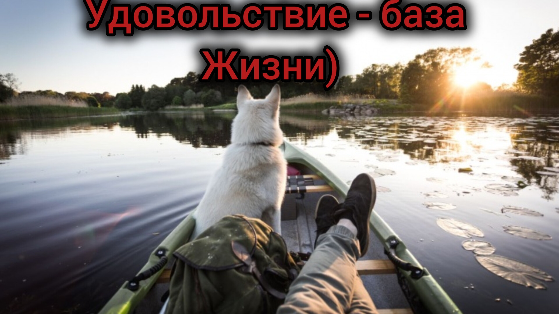 Без удовольствия нету жизни, а лишь существование