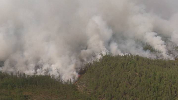 В Якутии при тушении лесных пожаров погиб парашютист