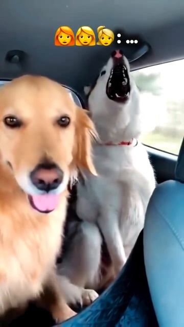 Ну хоть не Лепса поют 😁.mp4