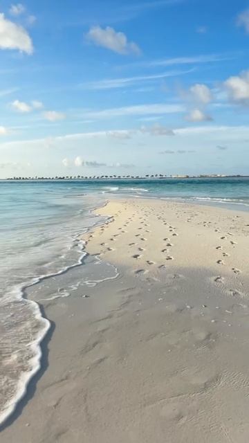 VID_20250818_212840_302.mp4