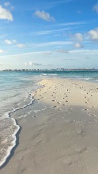 VID_20250818_212840_302.mp4