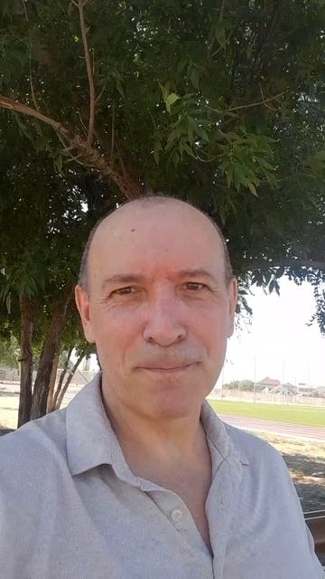 Мудрая церковь