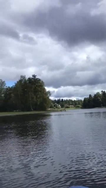 Ленобласть.Хвойное.16.08.2025. Рыбалка на Вуоксе с котенком Персиком. Видеопейзажи. Эпизод 2