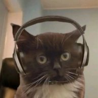 ДАВНО НЕ БЫЛО СТРИМОВ 😁😁😁😁 и я запустил его сейчас посмотрим сколько людей наберется 😁