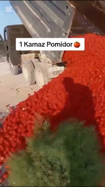 Раз Россия не приняла помидоры, то и своим не дадим