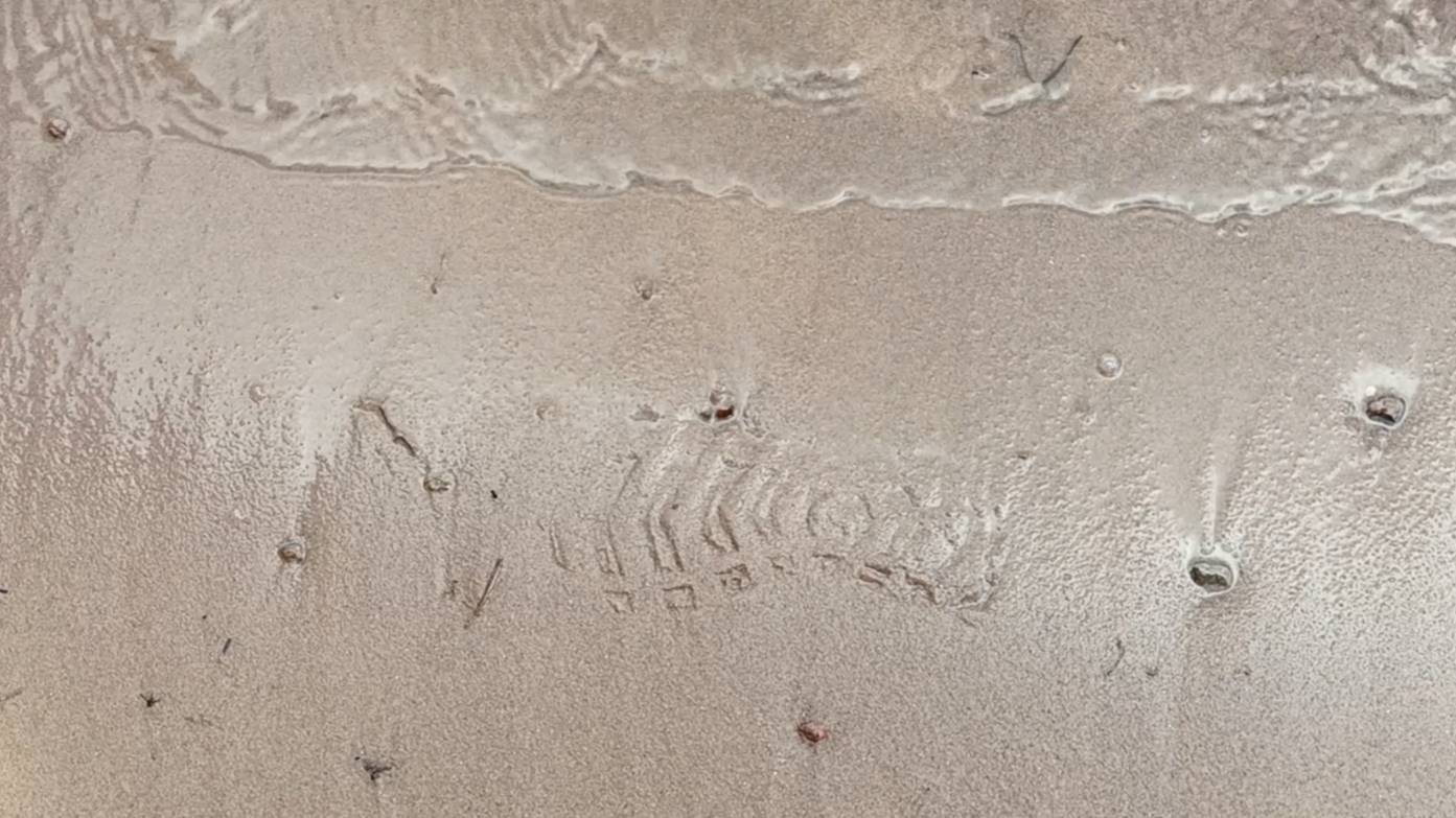 Магия исчезающих следов