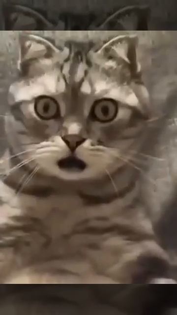 Лето закончилось? Забери подарки для подготовки к ОГЭ/ЕГЭ https://t.me/russkij_s_ekspertom/839