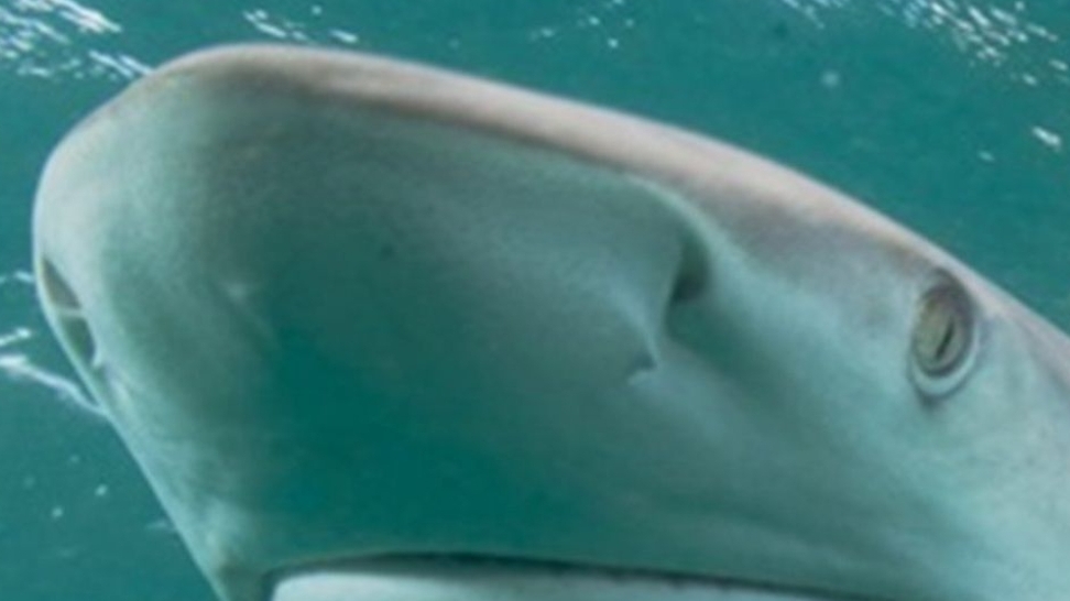 задание подписчикам