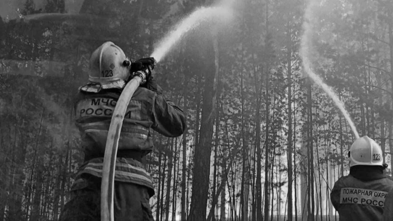 Пожарная охрана (ремикс)