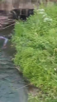 КТО потерял и утопил Самокат от МТС Юрент. Обнаружили проходя по мосту в Чебоксарах. Что за НЕлюди.