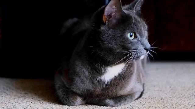 Роман Чёрный -МЁРТВЫЙ ЧАС