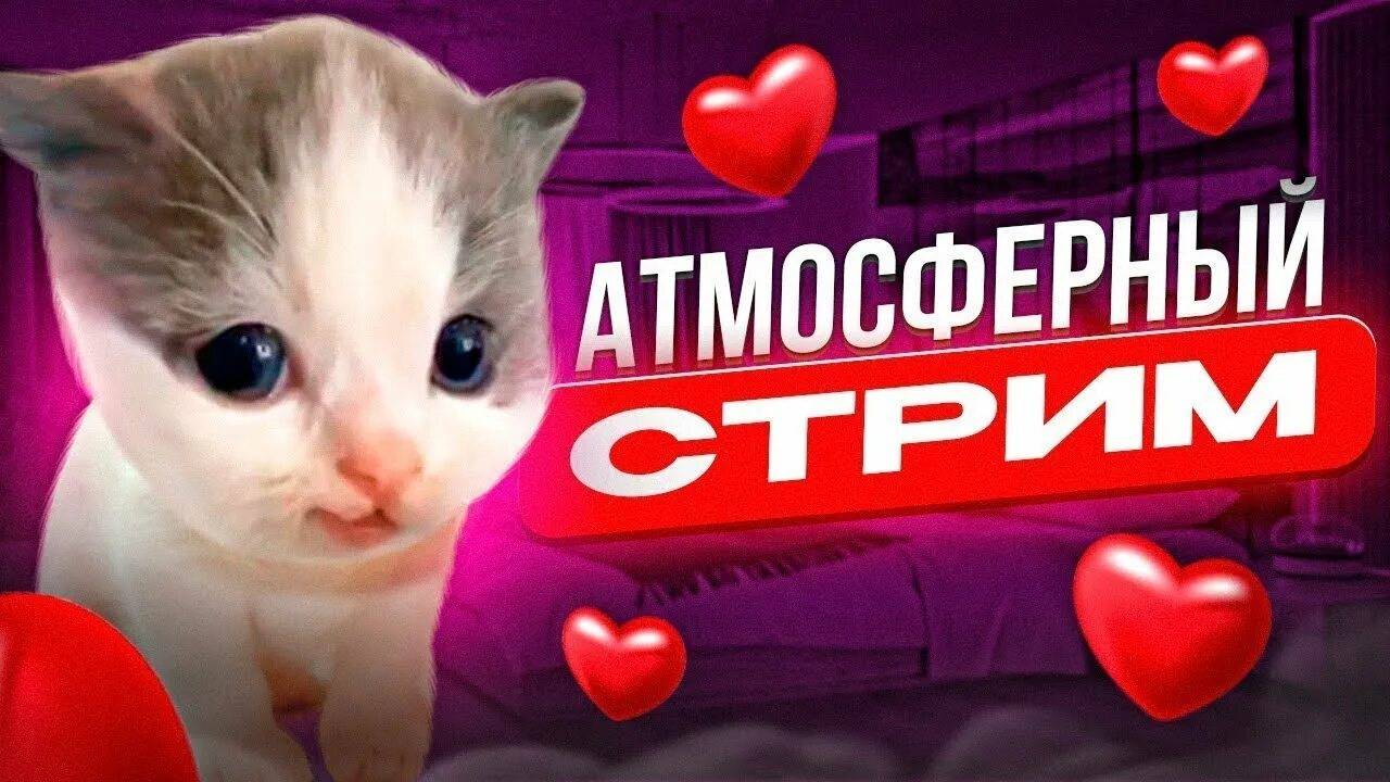 вечернеи стрим заходим читаю чюят игарем 99 ночеи  заходитев телегу