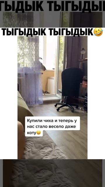 VID_20250819_150453_959.mp4