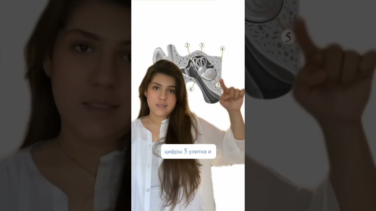 Переходи в наш тг-канал и забирай бесплатные полезные материалы @kate_bioum