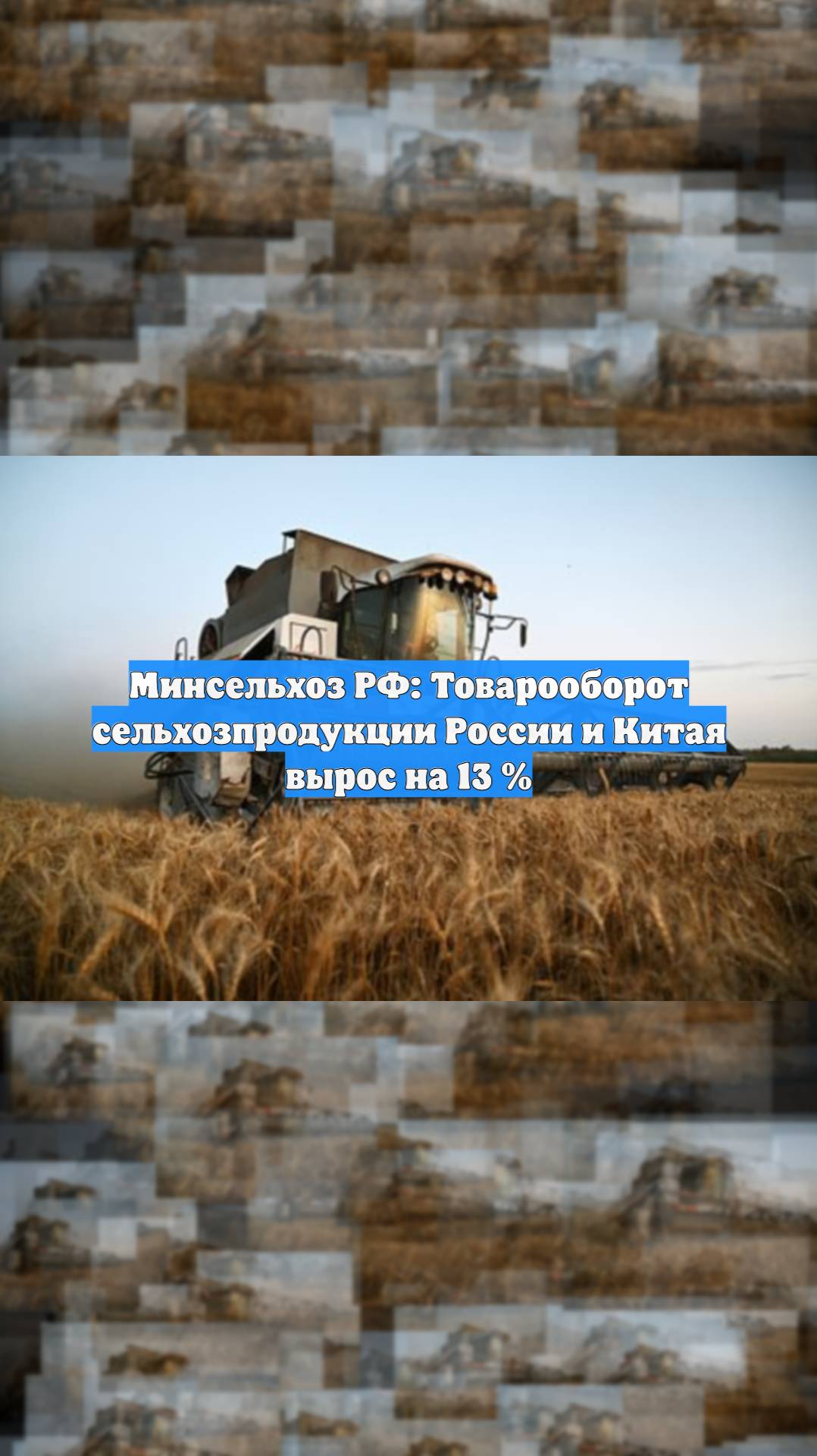 Минсельхоз РФ: Товарооборот сельхозпродукции России и Китая вырос на 13 %