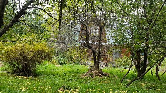 Побудь ещё немного ты со мной...