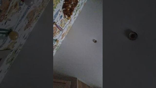 Аляска