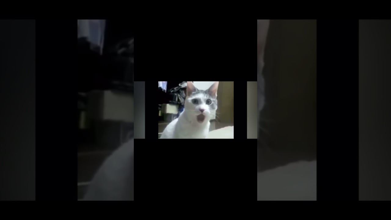 4 августа 2024 г.