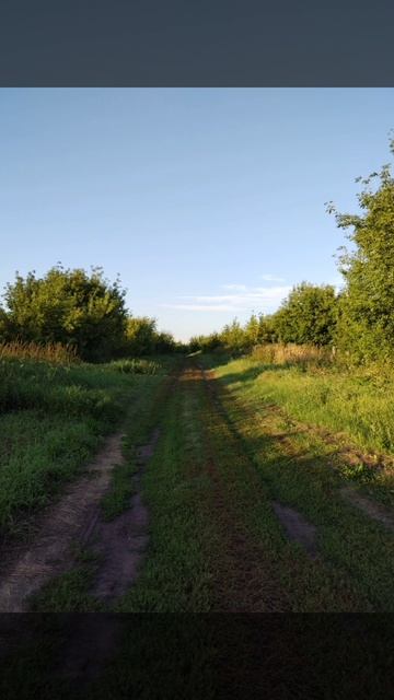 Август. Болгар.