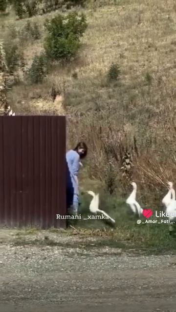 😹😹😹 шиянди дар🔥