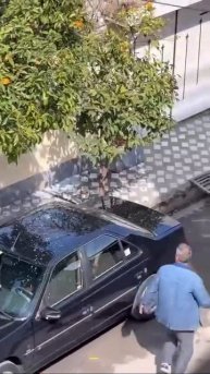 Старики-разбойники