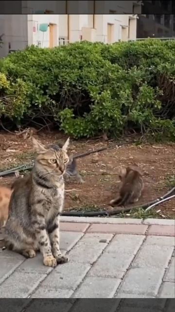 Счастливая многодетная мать🤣