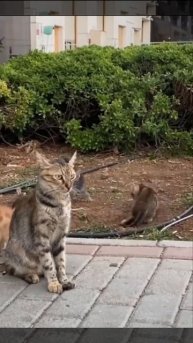 Счастливая многодетная мать🤣