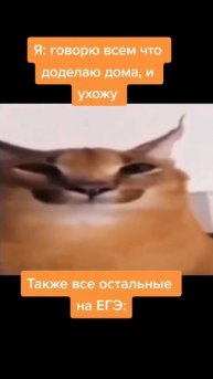 Без названия