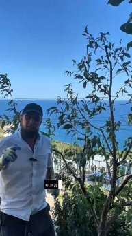 Можно ли сейчас обрезать деревья - конец августа начало сентября