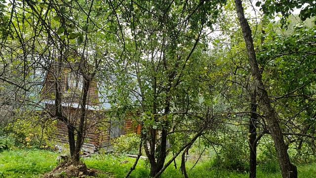 Ну вот и дождь