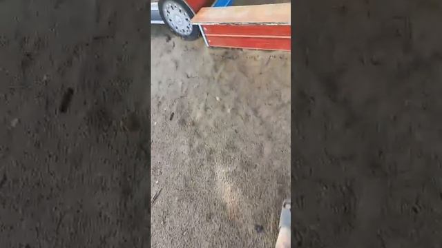 оповещения